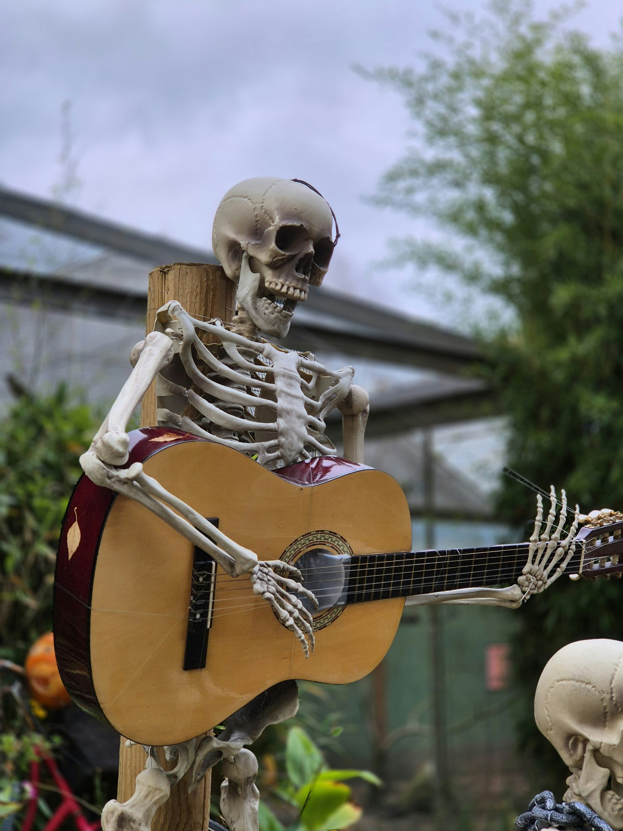 The Spine-to-String Connection: How Better Guitar Posture Saves Your Back